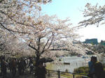 DSC00502.jpg