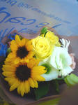 DSC00584.jpg