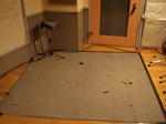 DSC00608.JPG