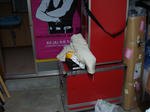 DSC00681.JPG