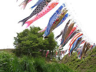 080517_1120_塩尻・北熊井城跡