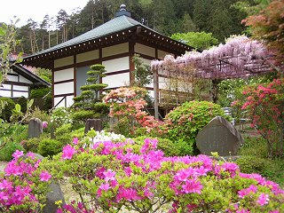 090516_1128_興龍寺のツツジ（塩尻市）