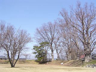 100404_1233_長野県史跡伴野城跡（佐久市）