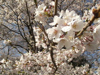 130428_0735_庚申塚古墳（飯綱町）