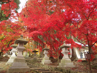141115_1201_若穂保科・清水寺の紅葉（長野市）