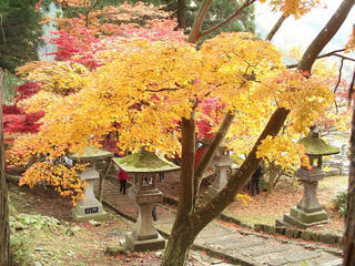 141115_1206_若穂保科・清水寺の紅葉（長野市）