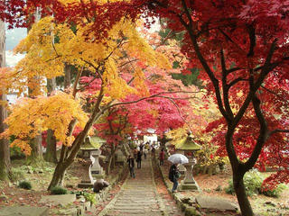 141115_1202_若穂保科・清水寺の紅葉（長野市）