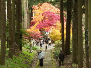 141115_1213_若穂保科・清水寺の紅葉（長野市）