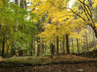141115_1209_若穂保科・清水寺の紅葉（長野市）