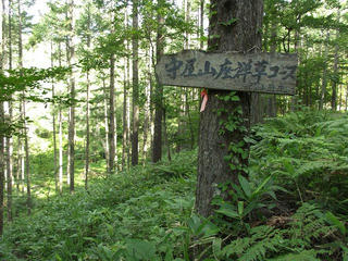 150725_0815_守屋山（伊那市）