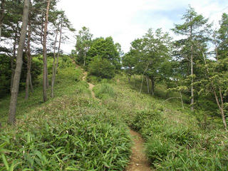 150725_0905_守屋山（諏訪市）