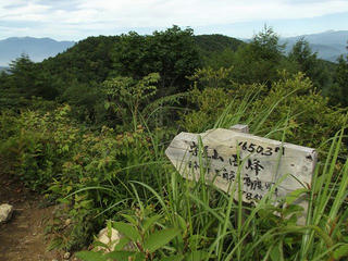 150725_0920_守屋山・東峰（諏訪市）