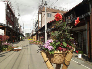 151004_1320_第１５回寺町花街道 いいやま花フェスタ（飯山市）
