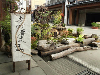 151004_1316_第１５回寺町花街道 いいやま花フェスタ（飯山市）