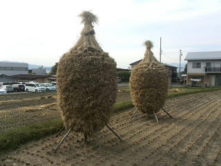 151009_1516_諏訪市内で見かけた変わった「はぜかけ」（諏訪市）