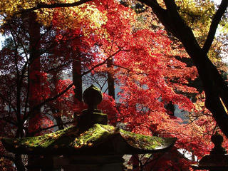 151115_1309_若穂保科・清水寺の紅葉（長野市）