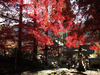 151115_1301_若穂保科・清水寺の紅葉（長野市）