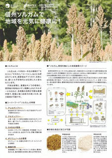 180728_信州ソルガム関連商品展示販売会（表）