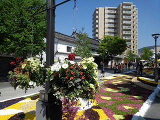 190504_0938_善光寺花回廊～花フェスタ2019～（長野市）