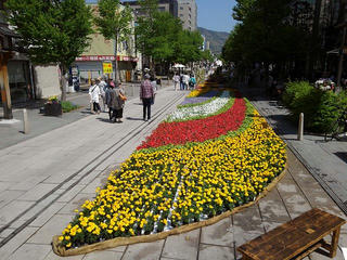 190504_0947_善光寺花回廊～花フェスタ2019～（長野市）