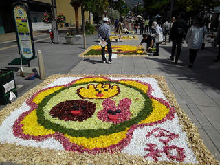 190504_0942_善光寺花回廊～花フェスタ2019～（長野市）