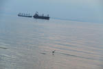 IMG_9060.JPG