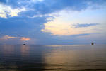 IMG_9087.JPG