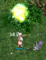 job50.jpg