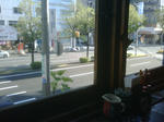 IMG00055-20091103-1537.jpg