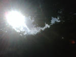 IMG00165-20091115-1326.jpg