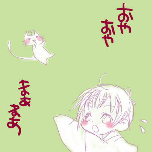 落ちてきた希猫