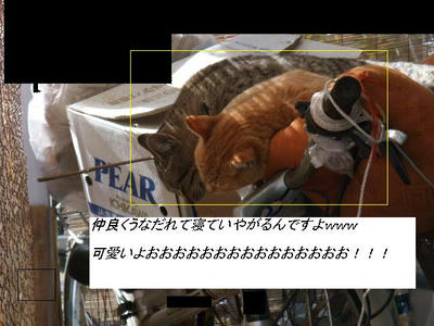 DSCF5186.JPG