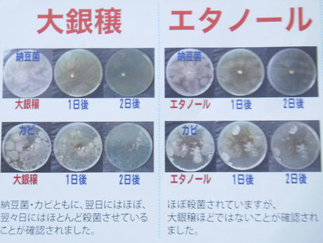 銀イオンスプレー大銀穣