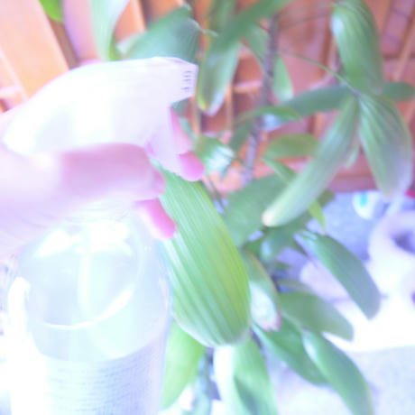 銀イオンスプレー大銀穣