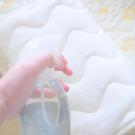 銀イオンスプレー大銀穣