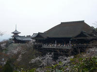 春の清水寺