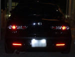 ledlicesce07.jpg