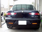 genuinetail07.jpg