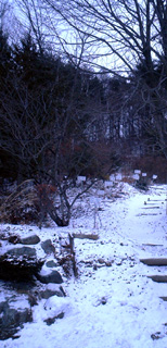 P1012446r.jpg