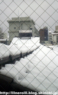 P1012619r.jpg