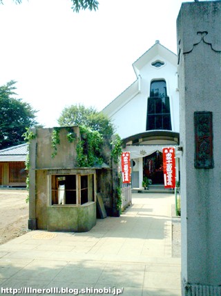 P1014298r.jpg