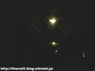 P1014535r.jpg