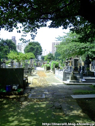 P1014819r.jpg