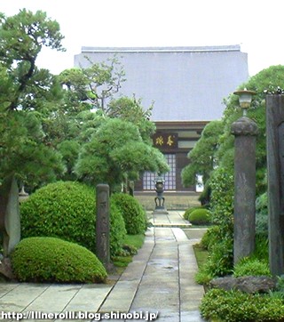 P1014933r.jpg