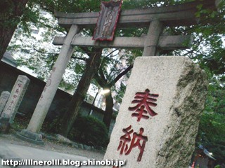 P1015173r.jpg
