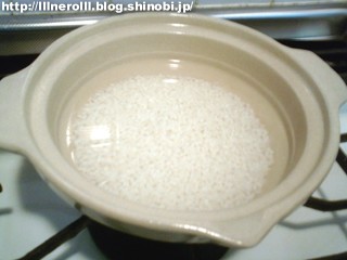 P1016498r.jpg