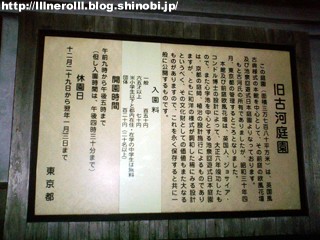 P1016728r.jpg