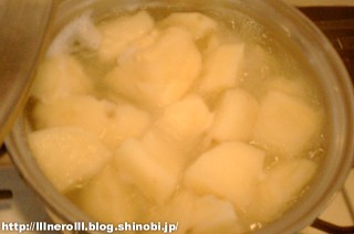 P1017214r.jpg