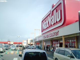 P1017737r.jpg