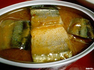 P1017938r.jpg